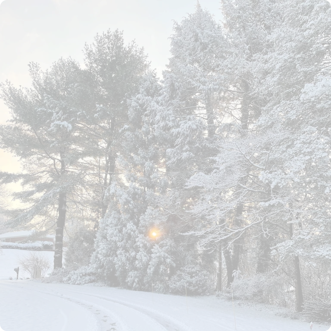 ÉDITION LIMITÉE : Bilan de fin d'année 2025 🎄
