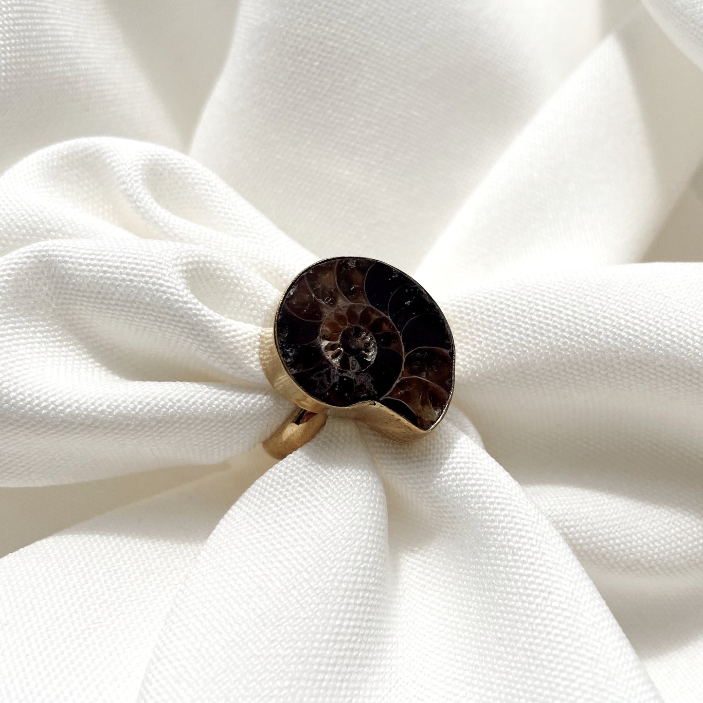 Bague réglable en Ammonite