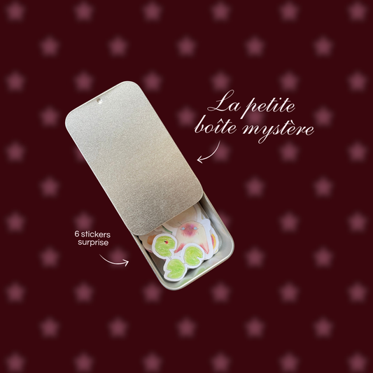 PRÉ-COMMANDE I Boîte mystère : Stickers surprise 𝜗ৎ