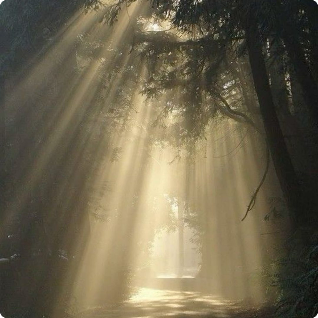 ÉDITION LIMITÉE : Rituel spécial du 17 février 2026